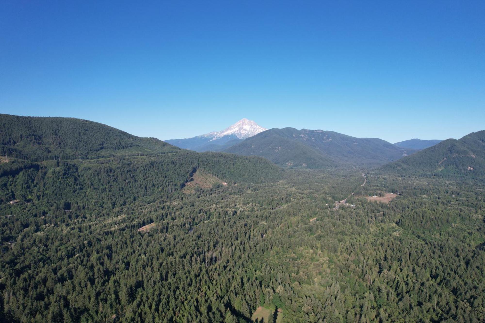 Mount Hood Village Premium Yurt 4 Welches Esterno foto
