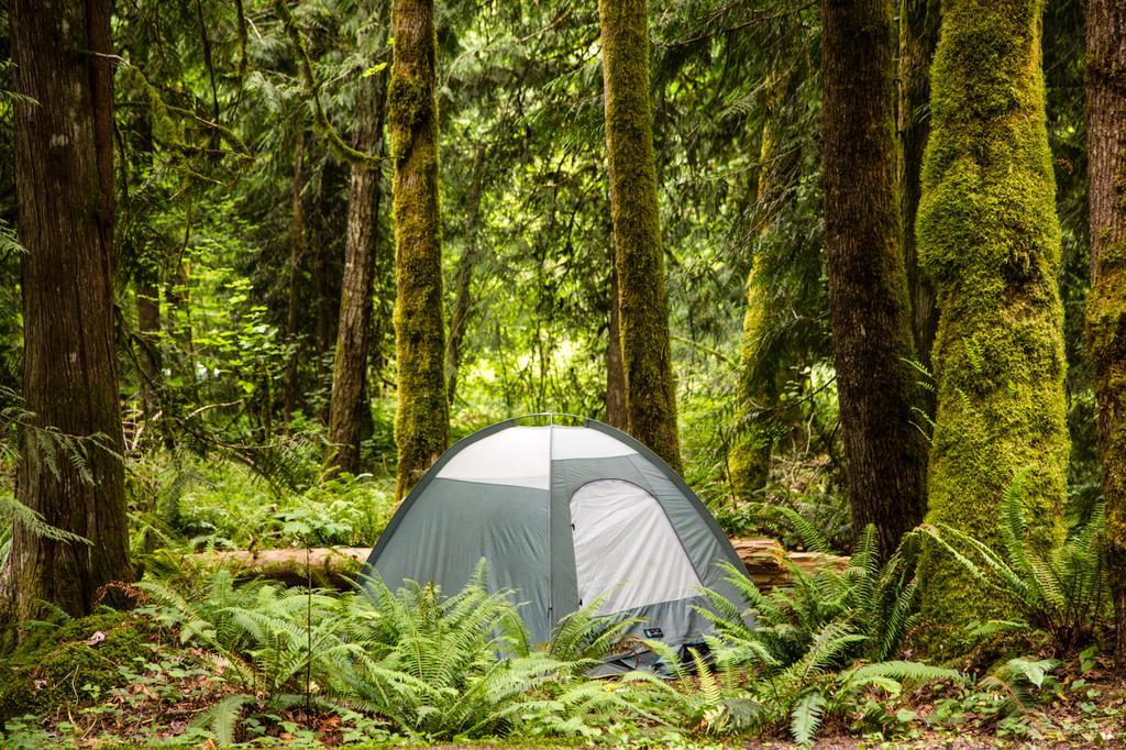 Mount Hood Village Premium Yurt 4 Welches Esterno foto